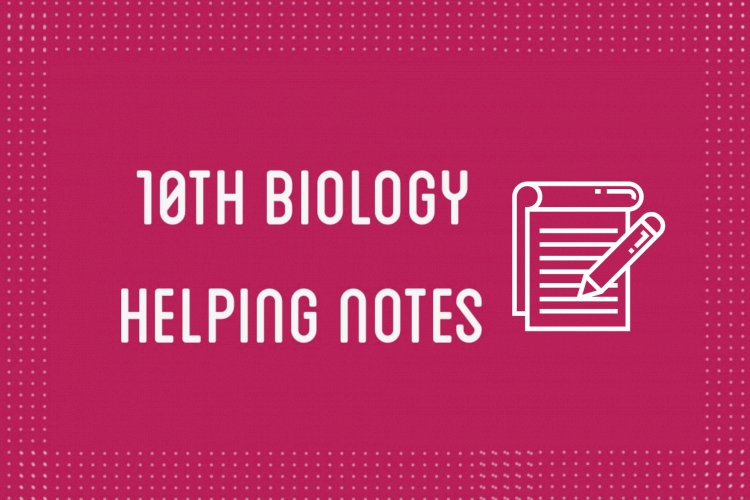 10th Class Biology Helping Notes of All Chapters in PDF
