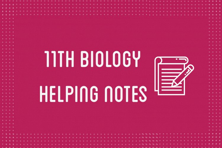 11th Class Biology Helping Notes of All Chapters in PDF