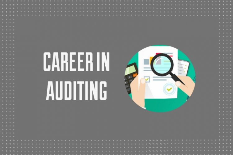 Auditing Career in Pakistan, Job Market, Future, Demand and Scope